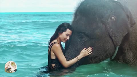 Elephant Love - The True Story of One Women and One Baby Elephant