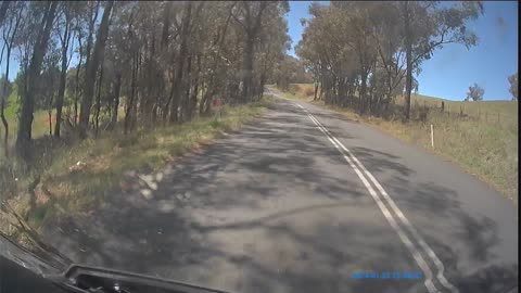 Skippy goes between bikes.