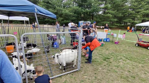 Spencer feeding goats at fair VID_20220514_141407
