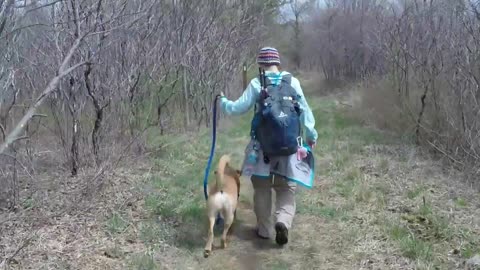 Hiking the Appalachian Trail with her dog Jackson