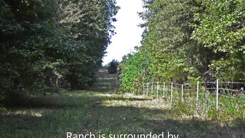 Hunting And Timber Tract Land, Hunting Ranch For Sale, Mt Pleasant, Morris County Texas