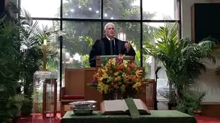 Livestream: Sunday, November 6, 2022 - Royal Palm Presbyterian Church