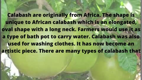 Benefits of calabash