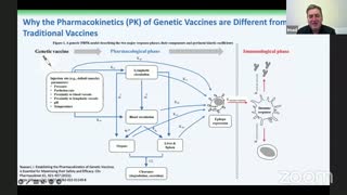 Shocking Lack of Pharmacokinetics for These Injections: "They Don't Care About Healthy Subjects"