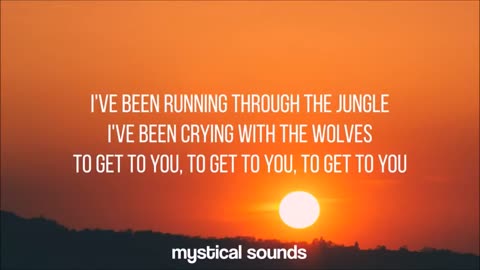 Selena Gomez, Marshmello - Wolves Lyrics