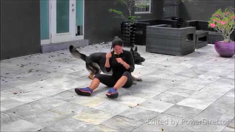 Dog training and funny moments