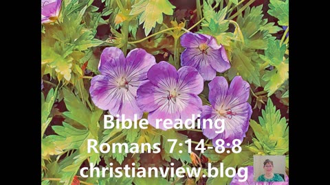Romans 7:14-8:8 bible reading