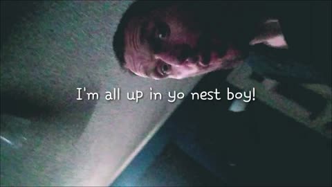 I'm All Up In Yo Nest Boy!
