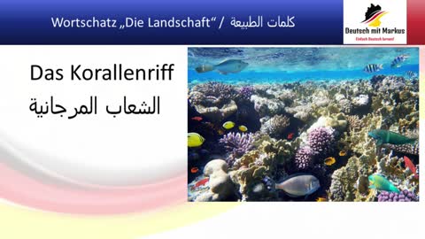 Video #12 "كلمات ألماني"الطبيعة / Deutsche Vokabeln „Die Landschaft“ / „Die Natur" (4k)