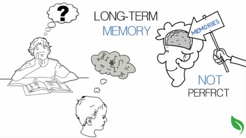 How does human memory work?