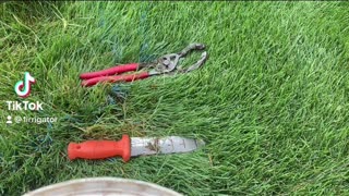 Irrigation sprinkler replacement