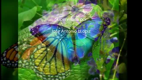 La Mariposa con Musica de Jose A LLopiz