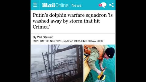 “Putin’s squadron of fighting dolphins was washed away