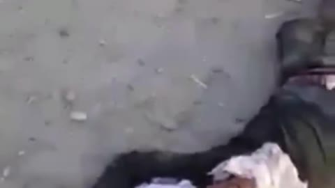 Carnage on Kandahar Streets After Taliban Pull People from Their Homes and Slaughter Them