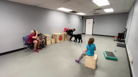 San Antonio Dog Trainers