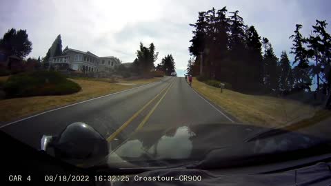 Whidbey Road Encounters, Aug-Sept 2022