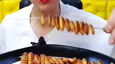 Delicious fried cicada pupae