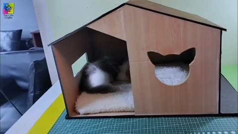 DIY cat House cardboard | Easy carfts Cat House using cardboard | cat House cardboard Easy