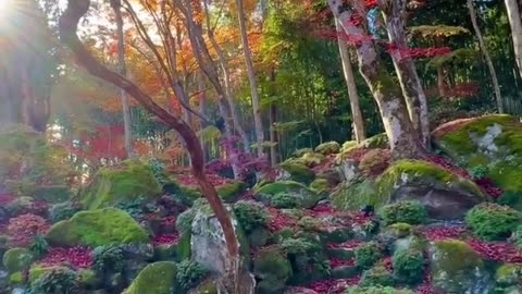 Kyorinbo Temple, Japan