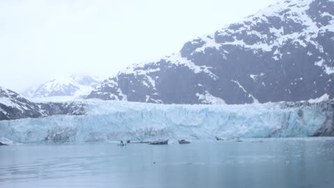 Margerie Glacier Calving 11MAY2023