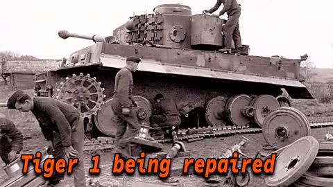 Tiger 1 | Dominated the Battlefield for Years!