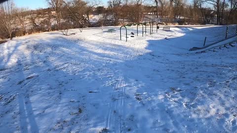 Dog Goes Sledding