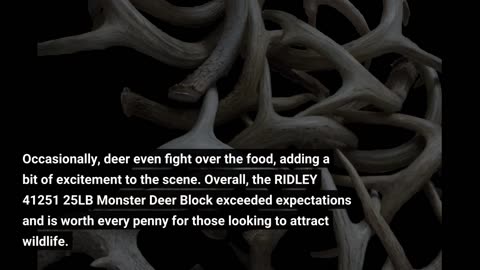 Customer Reviews: RIDLEY 41251 25LB Monster Deer Block