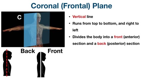 EASY TRICKS for Anatomical Body Planes and Sections [Direction_Position]