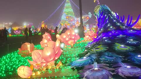 peacock light display at Magical Winter Lights in Baytown, Texas