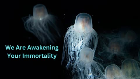 We Are Awakening Your Immortality ∞The 9D Arcturian Council, Channeled by Daniel Scranton 05-28