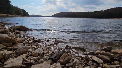 Michaux State Forest