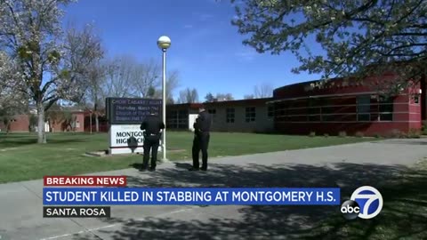 16-year-old victim ID'd by family after fatal stabbing at North Bay high school