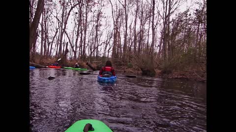 Paddle for Saturday 1/21/23 Gum swamp Creek Sect. 3
