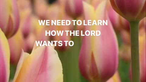 The Lord Wants to Nurture Us