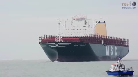 " 10 Biggest Ships On Earth "