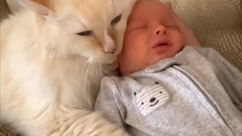 Newborn Snuggling With His Best Friend, House Cat, as They Lay Together Comfortable