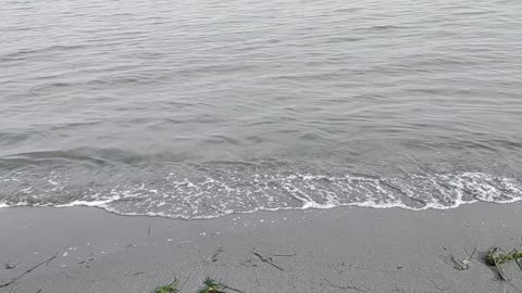 Puget Sound Waves ASMR