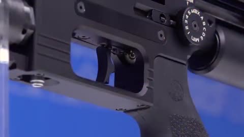 Gun presentation - FX Impact X MKII Compact PCP Air Rifle