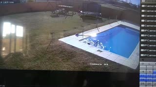 Boy Saves Dog From Drowning in Pool