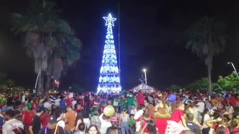 Video: Así se inauguró la navidad en Cartagena