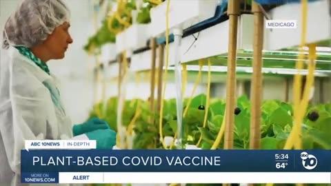 COVID Vaccine Grown in Plants
