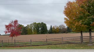 Amazing fall view