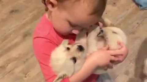 A Young Girl Holding Cute Baby Dog