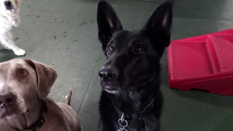 Some Adorable Faces from Daycare