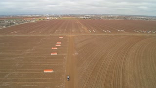 Winter cotton field 4