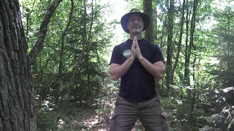 Qigong Is Not a Religion
