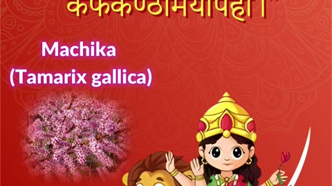 Jai Maa Katyayani- Navratri Day 6 | Machika (Tamarix gallica) Benefits- Associated Herb