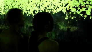 A sauna in a museum? Only inside Tokyo's teamLab