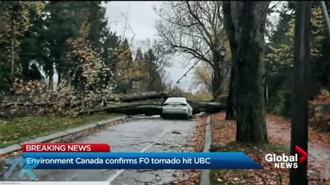 Tornado Cause Fallen Trees Hit on Expensive Car. Vancouver ,Canada 2021