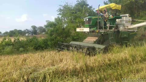 Harvesting in India